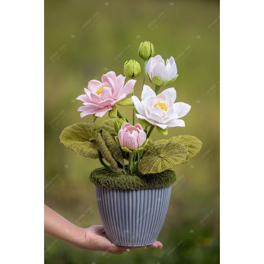 Hoa sen len handmade