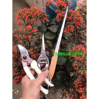 Combo bộ dụng cụ làm vườn loại 1:  kéo cắt cành + cưa lách+ Kéo tỉa cành dăm , tỉa lá của Nhật