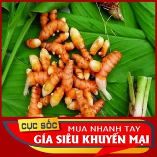 Lá Nghệ tươi 100gr [Thảo Dược Ngọc Ánh]