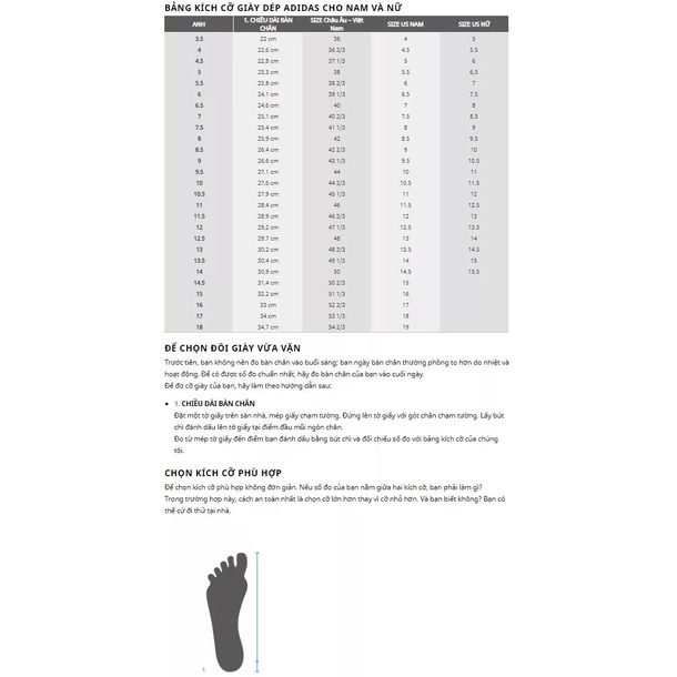 Giày thể thao Adidas clover SUPERSTAR Kentaro Okawara - Giày sneakers Adidas mũi sò nam nữ bản mới nhất Full box bill