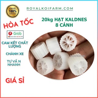 Combo 25kg Hạt Lọc Kaldnes 8 Cánh Vật Liệu Lọc Hồ Cá Koi