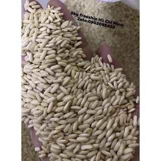 HÀNG MỚI DẺO - NẾP LỨT SÁP NGỖNG ( HẠT DÀI)