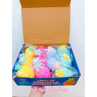 [Đồ chơi giảm căng thẳng] squishy hình quả dứa, ngôi sao, hamburger
