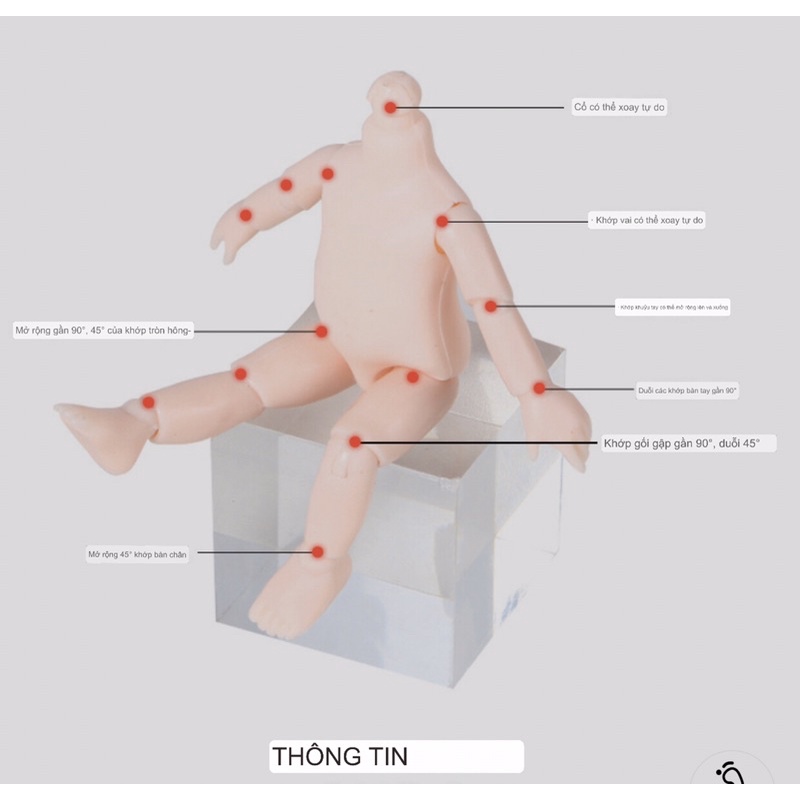 Búp bê anime mắt 3D 16cm ,13 khớp siêu xinh, búp bê cho bé may quần áo đáng yêu