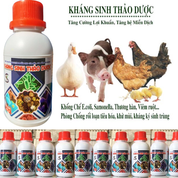 KHÁNG SINH THẢO DƯỢC: Phòng Trừ Cảm Cúm, Tiêu Chảy Cho Gia Súc Gia Cầm - Chai 100ML