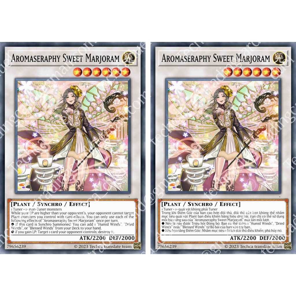 Bài In Tiếng Việt - Bộ bài Yugioh - Custom Deck - Aromage