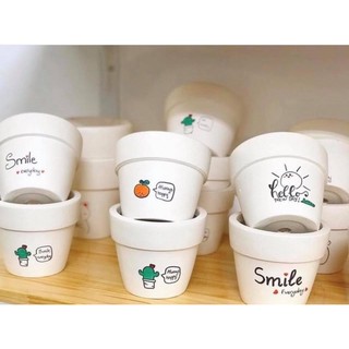 Sen đá MIX CHẬU VẼ để bàn