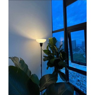 Đèn sàn, đèn cây hắt trần TAGARP