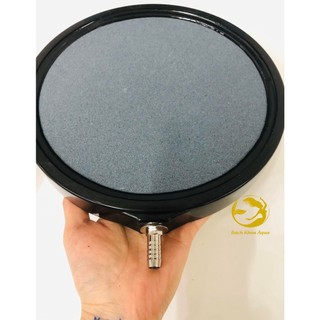 Đĩa sủi Oxy 10cm - 20cm cung cấp oxy cho bể cá
