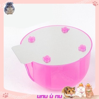 Nhà Ngủ Mát Lạnh Cho Hamster