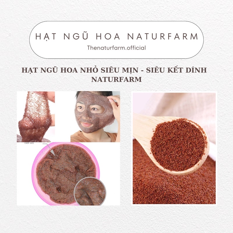 Hạt ngũ hoa nguyên chất Natufarm Organic 100gr , ngũ hoa hạt - hạt đình lịch loại 1