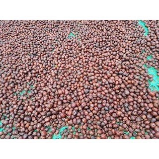 Cà Phê Đặc Sản Nguyễn CPR Mix004
