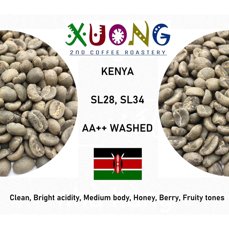 Cà phê nhân xanh Kenya SL28, SL34 Washed Specialty Coffee - Xưởng 2nd Coffee Roastery