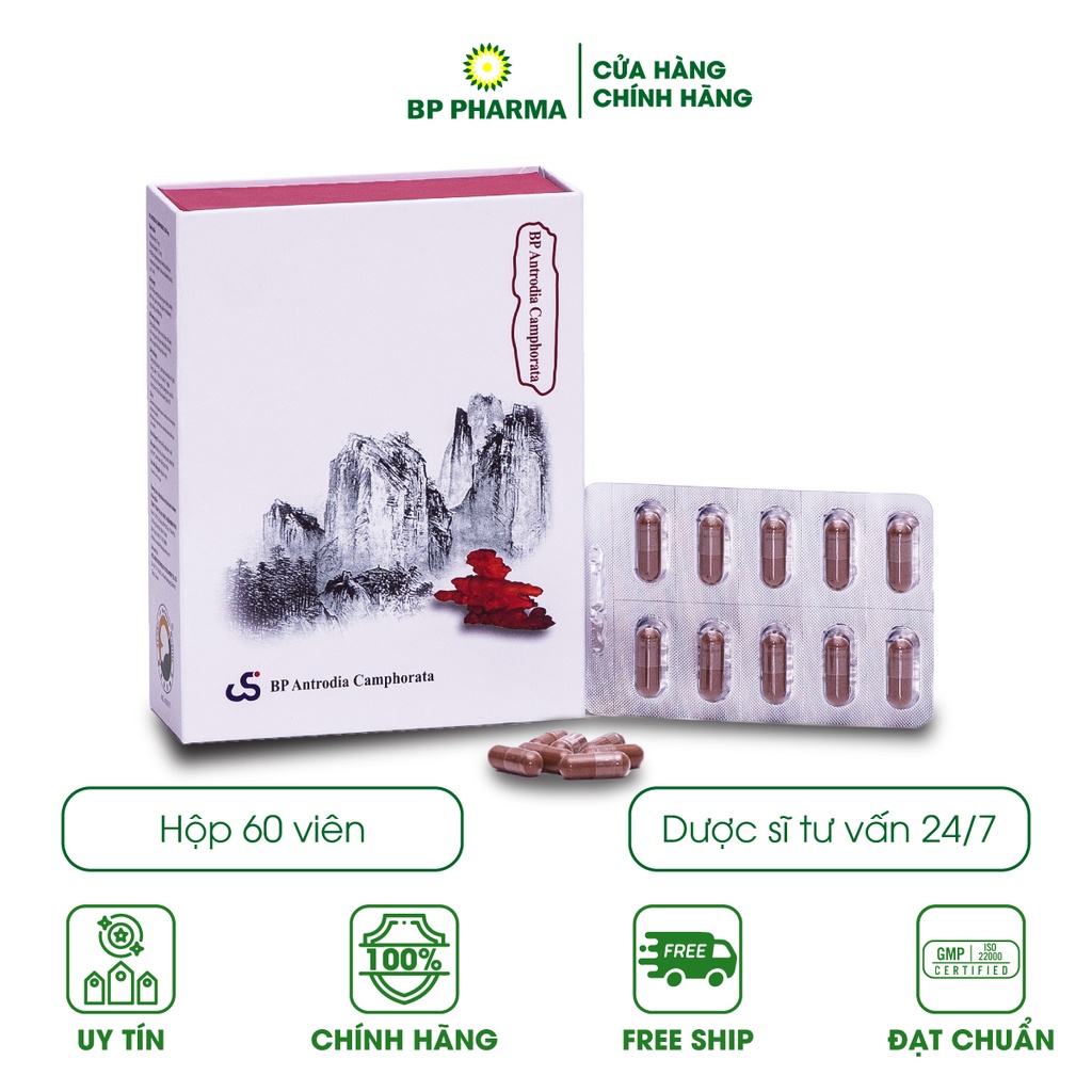 Viên Uống Nấm Chương Chi Đỏ BP ANTRODIA CAMPHORATA , Hỗ Trợ Điều Trị Ung Thư, Rối Loạn Chức Năng Gan (60v)