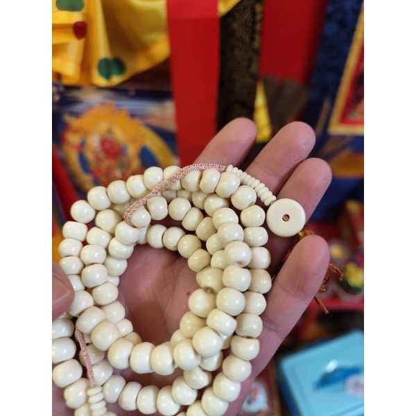 Chuỗi xươn g trâu Yak Tây Tạng