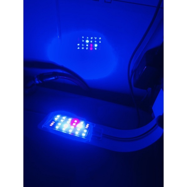 Đèn bể cá biển