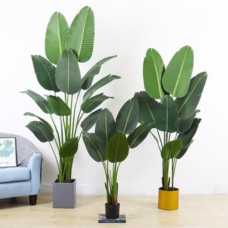 Cây Chuối Cảnh Giả, Chuối Rẻ Quạt Cao 120cm-180cm Lá Nhám Xịn Decor Trang Trí Nhà cửa