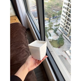 Cây giả - Cây lá rùa Decor 30-40cm