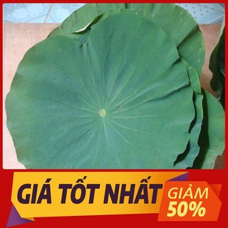 1kg Lá Sen Tươi Xanh - Sạch - Rẻ nhất Việt Nam (Nguyên lá)