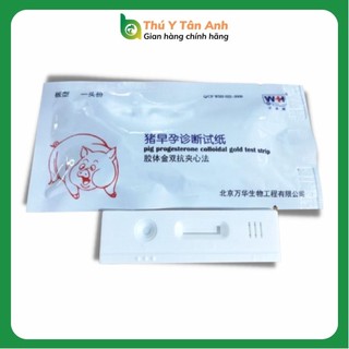 Que thử thai heo, lợn nái đọc kết quả chính xác 90%, giúp nhận biết chính xác heo nái mang thai - THÚ Y T N ANH