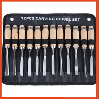 Bộ đục cây cảnh cầm tay bonsai đục gỗ đa năng 12 món chuyên đục gỗ