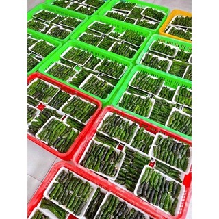 Bò cuộn lá lốt 1 khay ( 16-20 cuốn )