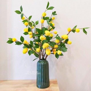 Cành quả giả - cành chanh thân dài quả to decor trang trí nhà cửa | hà hoa flower