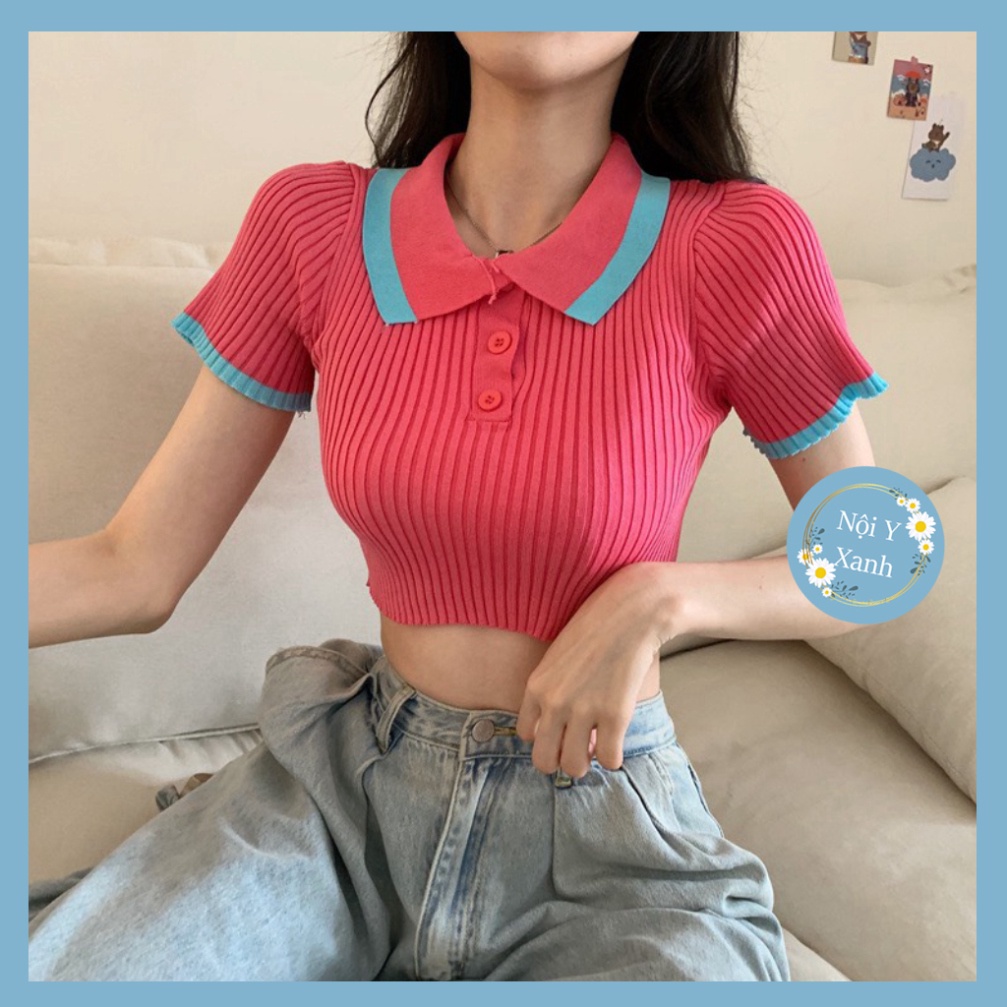 áo thun phông gân len nữ mongtoghi ngắn tay croptop cổ phối viền cá tính Nội Y Xanh