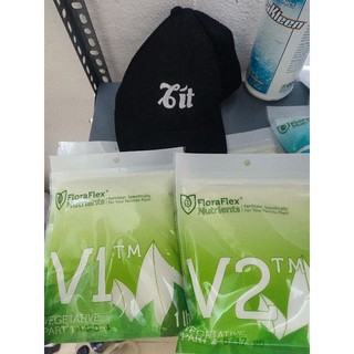 Dinh dưỡng nền V1 V2 chiết giai đoạn dưỡng cây