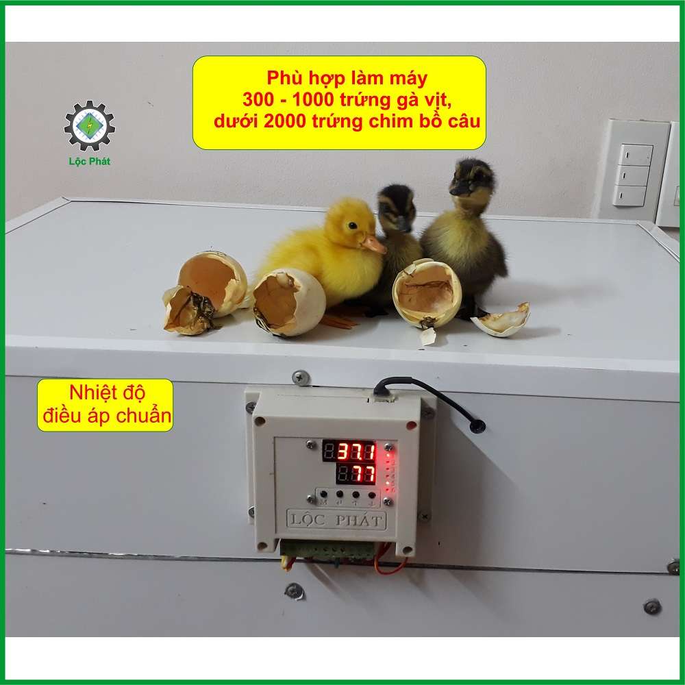 Bộ ấp trứng tự động Lộc Phát, điều khiển máy ấp 300 - 1000 trứng, nhiệt độ chính xác ĐK880