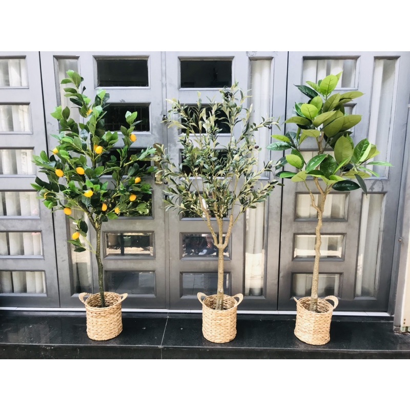 Cây cảnh giả trang trí - cây bạch đàn giả 1,2m