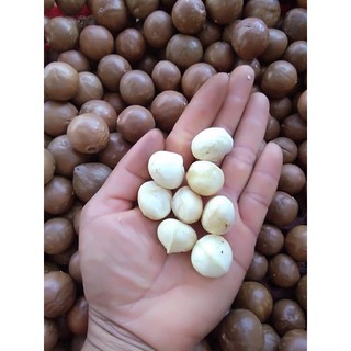Nhân Macca Daklak (Nhân nguyên loại 1) 500Gr