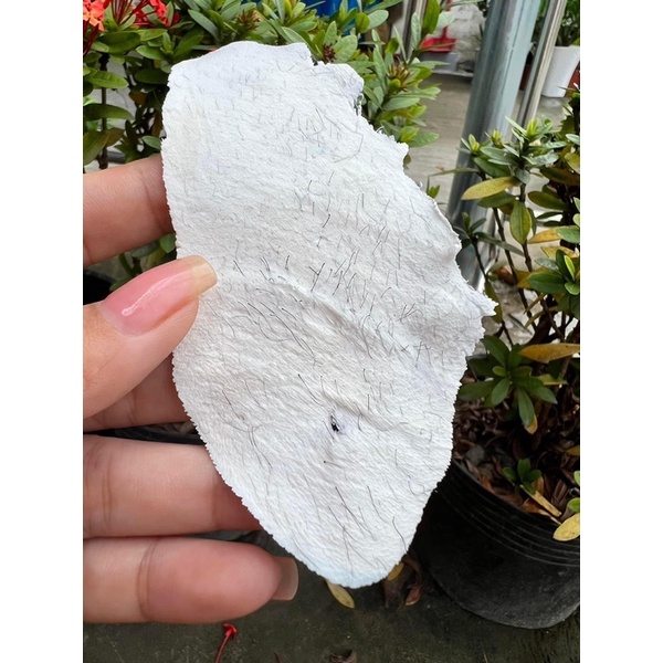 1 Ký SÁP VỤN  NHUYỄN GIÁ SIÊU RẺ - SÁP VỤN CAO CẤP SIÊU BÁM LÔNG CÓ HƯƠNG THƠM, NHANH