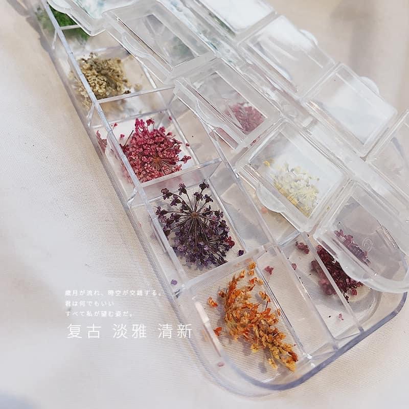 Hoa khô đính móng Set 12 màu