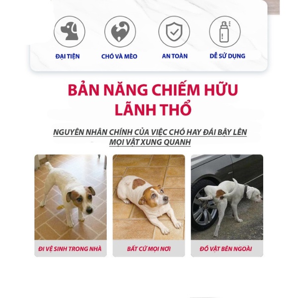 Xịt định vị vệ sinh chó mèo, tập thói quen đi vệ sinh đúng chỗ cho thú cưng