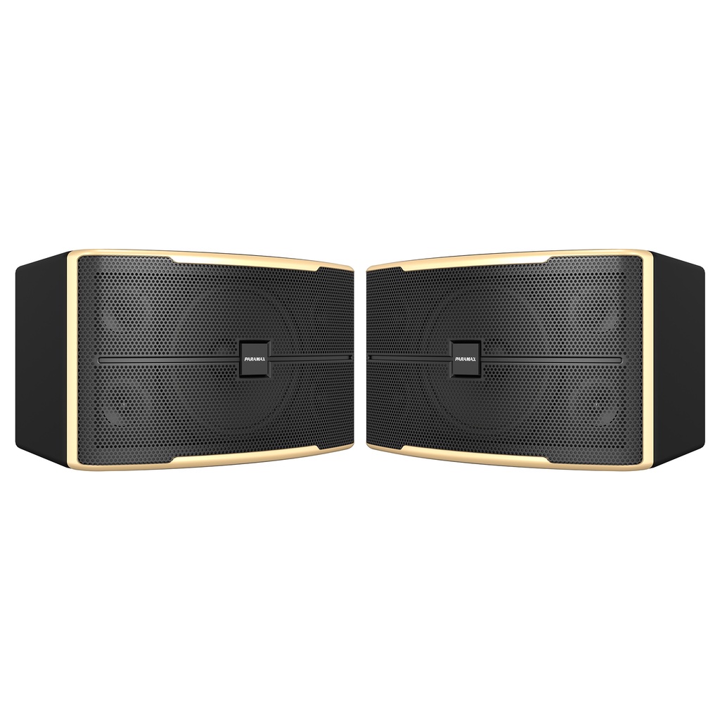 Loa Karaoke 12inches Paramax Z-2500