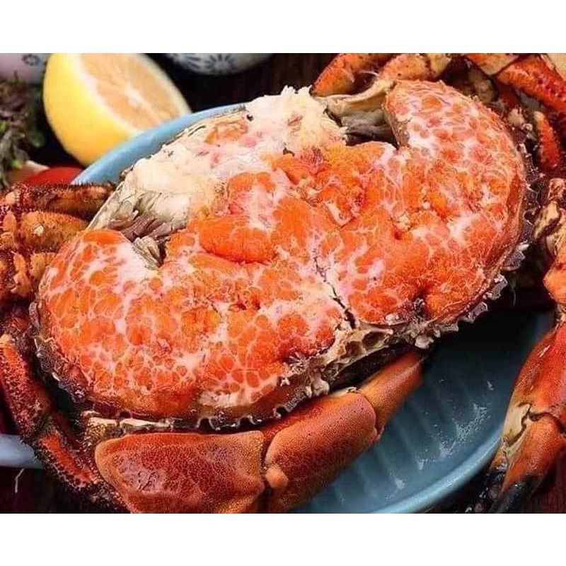 HỎA TỐC- CUA NÂU NAUY SOFRIMA ĐỦ SIZE