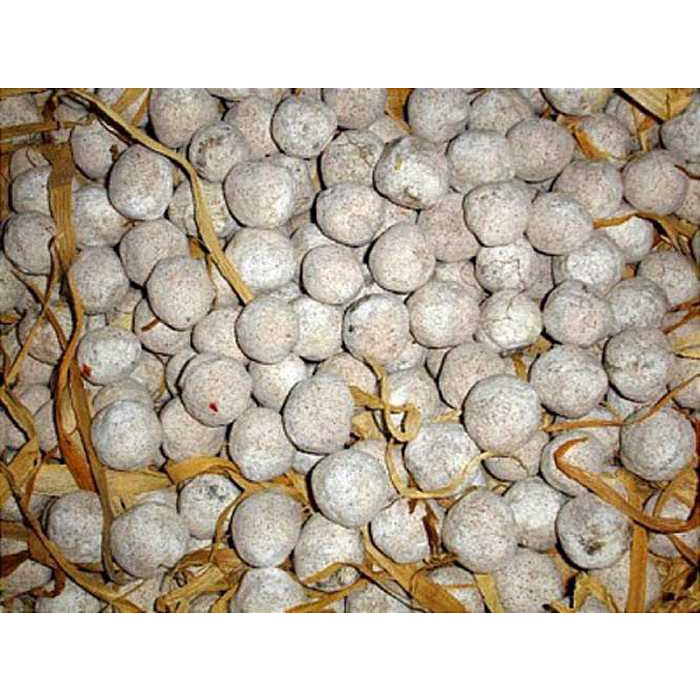 Rượu Ngô Rượu Gạo Men Lá Ông Mạnh Chuẩn Vị Đông Bắc Đặc Sản Tuyên Quang