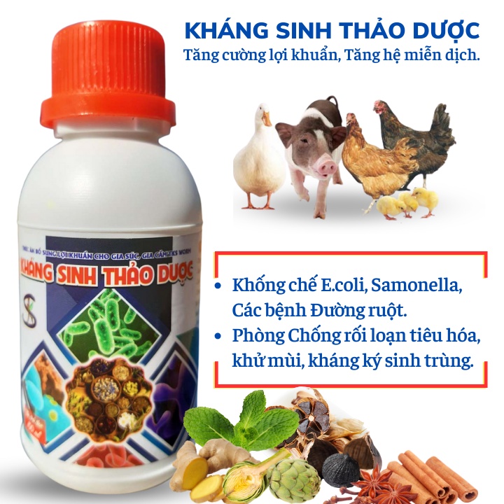 KHÁNG SINH THẢO DƯỢC: Phòng Trừ Cảm Cúm, Tiêu Chảy Cho Gia Súc Gia Cầm - Chai 100ML