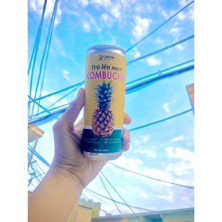 Trà lên men Kombucha Dứa