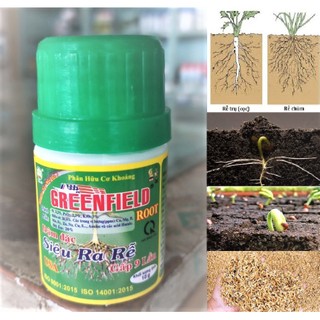 Phân Siêu ra rễ Green Field Root 10g