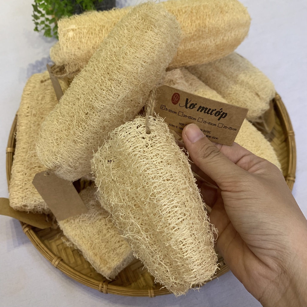 Xơ mướp Green Farm sơi mềm mại, êm tay cung câp bới hợp tác xã Sinh Dược