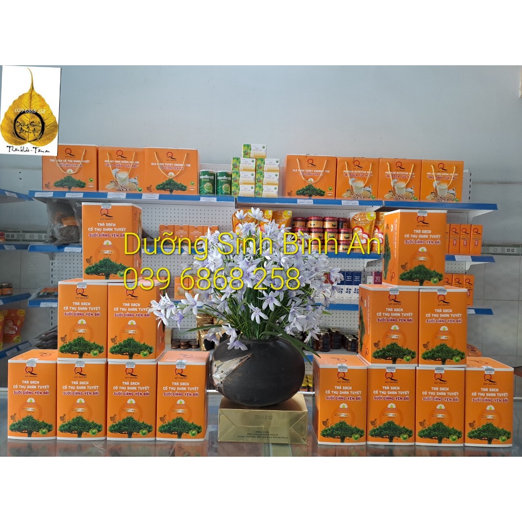 Trà SẠCH Cổ Thụ Shan-Tuyết - Hộp 22 gói Quy Nguyên