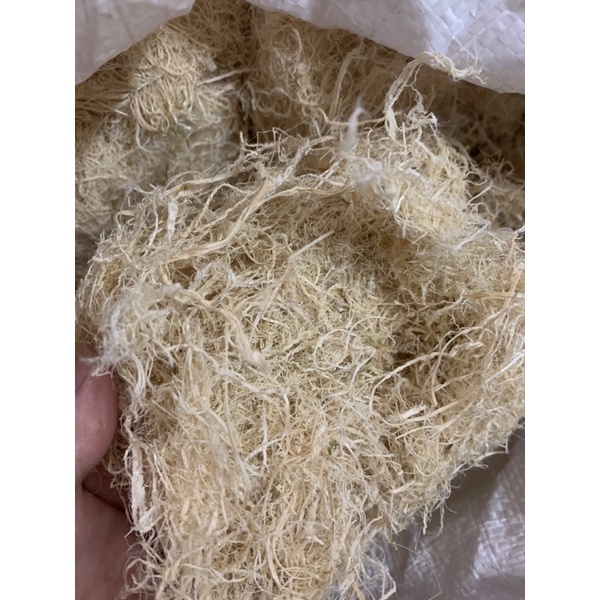 Rác, Tre Bào Lót Tổ Cho Chim Yến, Finch, Manh Manh... 100g