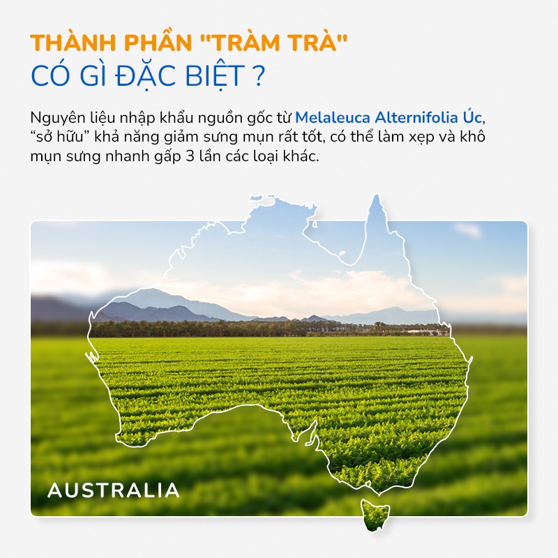 Serum Giảm Mụn Và Thâm Cấp Tốc 24H Tinh Dầu Tràm Trà Úc Anti Acnes NEOSKIN 20ml