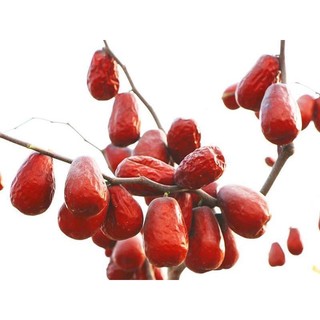 Táo đỏ Tân Cương 1kg