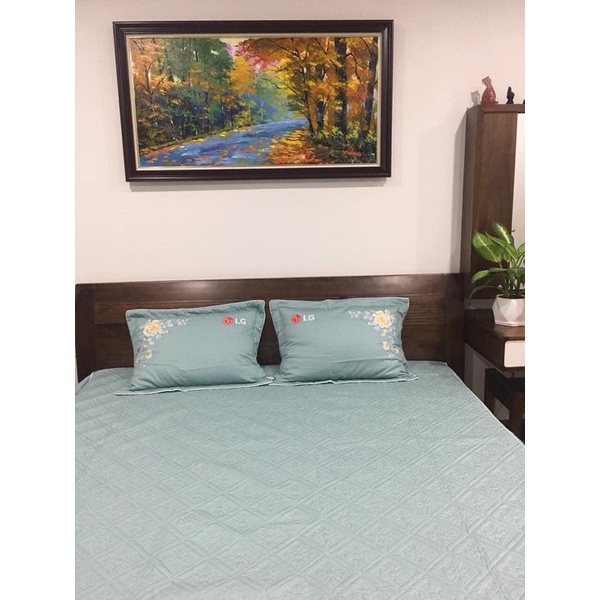 Bộ ga phủ Everon ES1805 thanh lý new