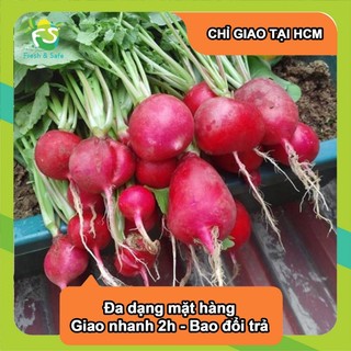 [Chỉ Giao HCM] Củ Cải Đỏ