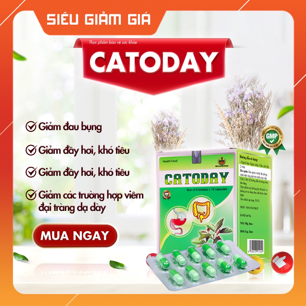 Giảm đau bụng, đầy hơi, chướng bụng, ăn khó tiêu - CATODAY – hộp 90 viên