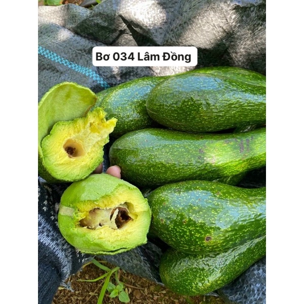 Trái cây tươi ĐÀ LẠT - Chuối Laba Đà Lạt - Bơ 034